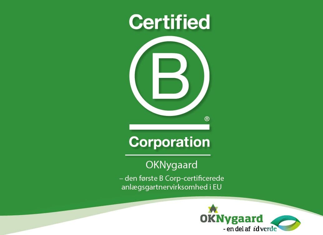 221108_OKN_annonce_licitationen_Bcorp_266x365_Ida lege version