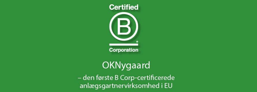 B corp grøn