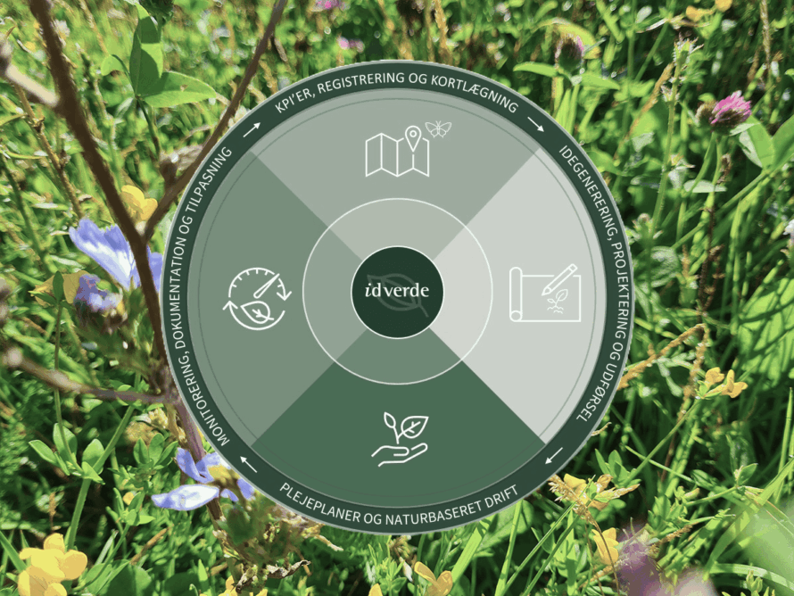 Natur-idverde