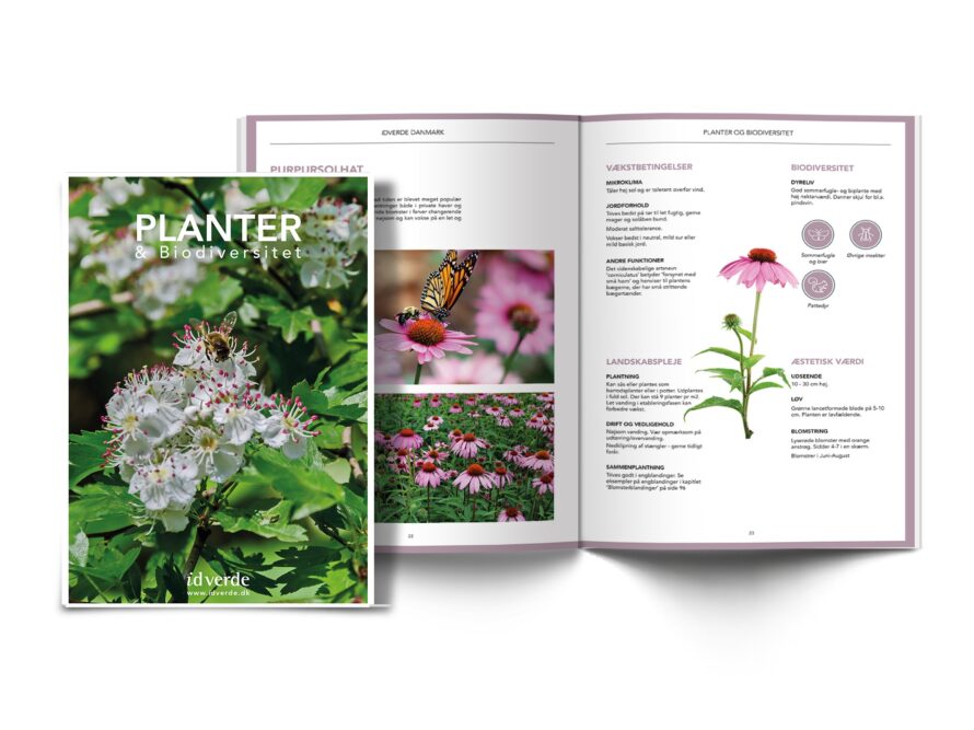 Plantekatalog mock up